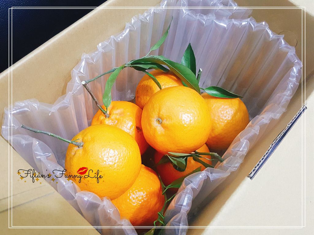 2019-01-27-19-00-46.jpg 2019-01-27-19-00-46.jpg